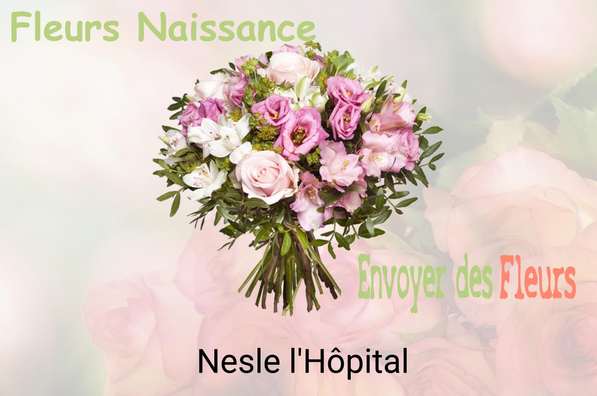 Bouquet de fleurs de naissance livré à Nesle-l'Hôpital
